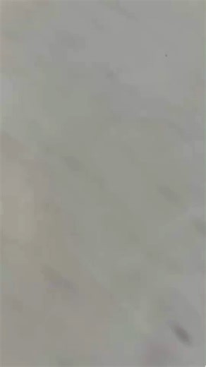 217 reactions · 39 shares | ✨SWEEPSTAKES TIME✨ Enter for your chance to win our Drink Mix Flavor Bundle: https://brnw.ch/21wJvJz The first long-weekend leading into the Summer is almost here! As you gear up for a fantastic long weekend, why not add some flavor and convenience to your plans?  | Hydroxycut | Facebook