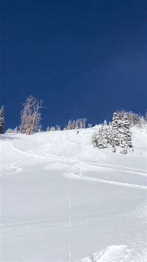 Headwall is open 🙌🙌🙌 #jacksonhole60 #snowboarding #fyp #bluebird | Snowboarding