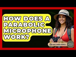 How Does A Parabolic Microphone Work? - Bird Watching Diaries