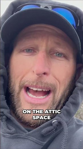 Saving Money on Raccoon Removal: How to Safeguard Your Attic