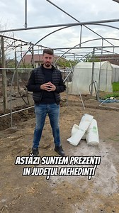 231K views · 1.1K reactions | Daca sunteti curiosi cum se monteaza o folie pe un solar din cadru metalic vizionati acest clip #fole #foliesolar #fermier #romania #regalfermierul | Regal Fermierul | Facebook