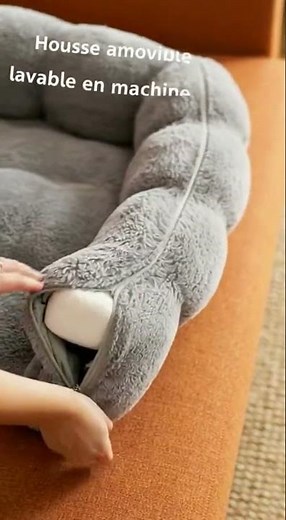 Lit pour chien Petlien : confort ultime !