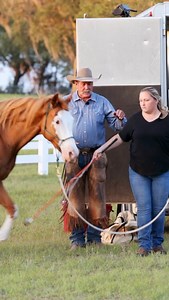 Our Step-by-Step Horse Training Program helped Thousands of horse owners to be safe and have fun with their horses. 🔥Join us for an enriching 2-day clinic with Pat Parelli 🔥This isn’t just a course, This is a unique opportunity to witness the transformation of horse-rider partnerships in a supportive and educational environment, with real horses and people and no shortcuts.Participants will delve into the principles of Natural Horsemanship, learning habits that will deepen their connection wit