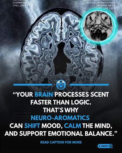 Scent is one of the few signals that reaches the brain without a filter. Before logic. Before language. Before conscious thought. That’s why neuro-aromatics work. Clinically studied aromatic blends interact with the limbic system, influencing brain activity linked to mood, stress, and emotional regulation. The result isn’t hype. It’s measurable shifts in how the nervous system responds. Certain compounds can promote calm. Others support focus, emotional balance, or a gentle lift in mood. Not by 