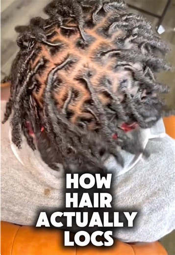 Have you ever wondered? It’s actually a very simple but long process 🌱 The popular myth of not washing hair to make them lock is extremely damaging, if you watch this, we exactly why 🔥 Any time you see someone bringing up that blatant lie, please call them out! #Locs #locjourney #naturalproducts #naturalhair #haircare