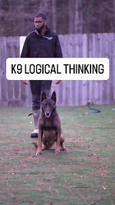 Link in bio to learn this Goto sport program! #calvinlwilbon #primo | Calvin Wilbon