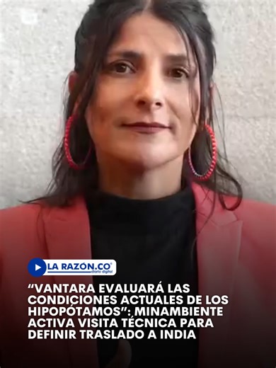 La ministra de Ambiente (e), Irene Vélez Torres, anunció que la organización india Vantara enviará un equipo técnico a Colombia para evaluar el traslado de hipopótamos como parte del plan de manejo de esta especie invasora. El Gobierno Nacional avanza en conversaciones para definir procesos de traslocación, mientras mantiene vigente el protocolo de eutanasia como medida paralela para reducir la población de estos animales. “Tenemos en primer lugar una visita a Colombia por parte del equipo de Va