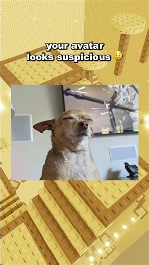 Every Roblox Ban Report 🙏😭