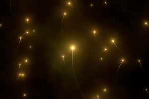 Tachyon Particle Travels Faster Than Speed of Light, Could Go Back in Time