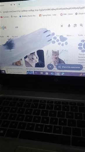 Google Search Fun activity #shorts #youtubeshorts #tech #google #funny #techwithnadim #viral #reels