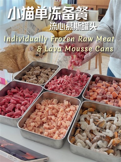 Homemade Raw Cat Food Meal Prep Guide