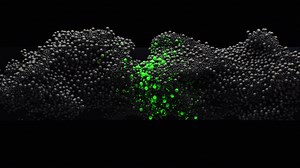 3.2K views · 406 reactions |  A no-compromise display that produces breathtaking image quality for your battlestation.  형혦혹혵 혉혶혴혪혯혦혴혴 혋혢혺 혚혩혪혱혱혪혯혨 | Razer | Facebook