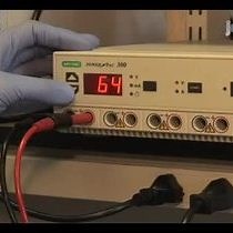Video: Screening for Amyloid Aggregation by Semi-Denaturing Detergent-Agarose Gel Electrophoresis