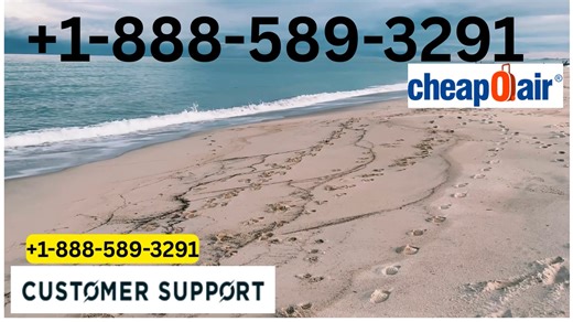 (Cheapoair)— ™® Official Customer Service Complete || Official 24/7 Support Guide