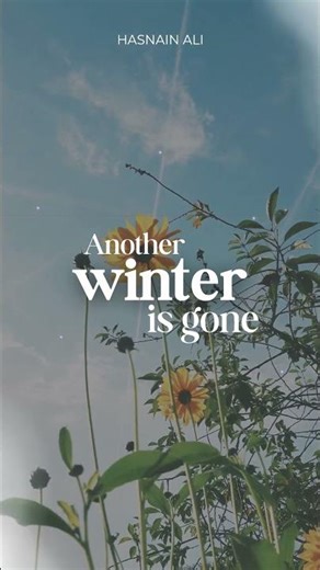 Winter thoughts | Peace For Life