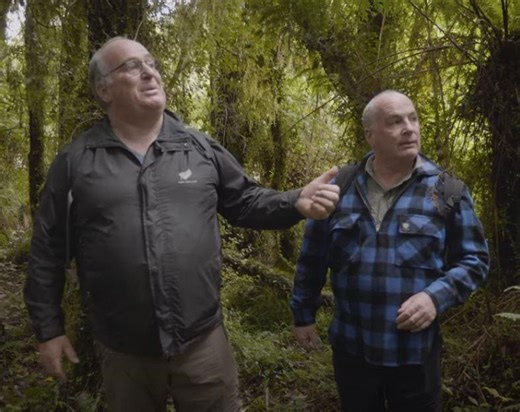 Thrill of the chase: Twin brothers' quest for NZ's biggest native trees