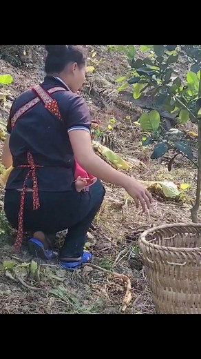 Single mom find potato | Fighting Feels