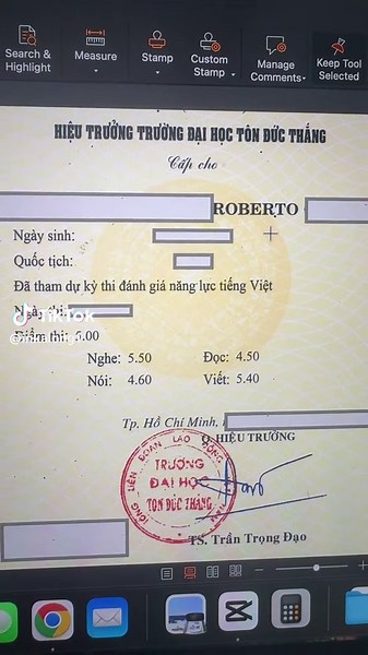 Mastering Vietnamese Proficiency: A Comprehensive Test