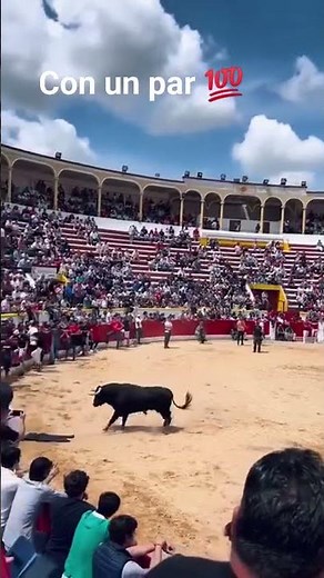 Daring Bullfighter Jumps Over Massive Spanish Bull Extreme Recorte in Spain #shorts #bulldodging