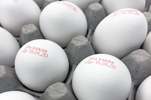 Printing and Marking on Eggs and Egg Cartons | Egg printer | RN Mark