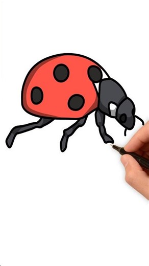 How to draw Ladybug | How to draw Ladybug step by step