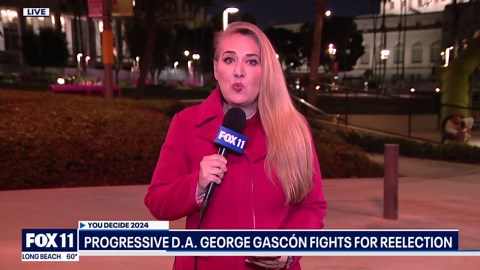 LA County DA Race Election Results 2024