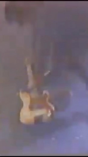 6.6K views · 172 reactions | Watch Dee Dee Ramone trying to smash his bass while performing playback with the Eurythmics, MTV Awards 1985. | RAMONES MUSEUM BERLIN | Facebook