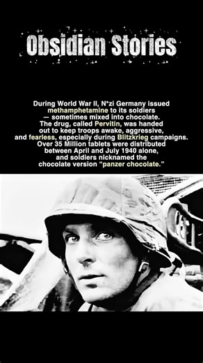 What Historians Don't Want You to Know About Hitler's Secret Plans