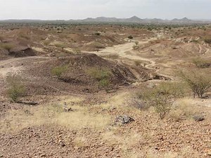 4.2 million-year-old fossil of tiny monkey discovered in Kenya