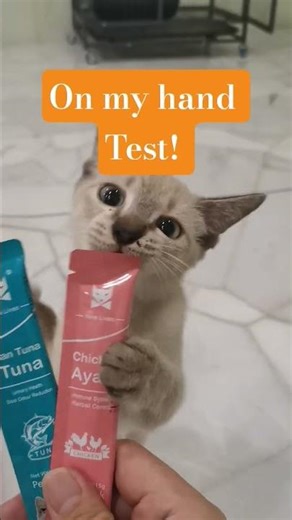 Fish VS Chicken #cats #catfood #choose