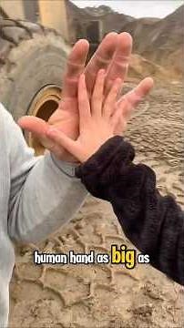 Jeff Dabe – The Real-Life Popeye With the World’s Biggest Hands!