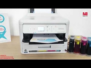 Giới thiệu và đánh giá máy in tốc độ cao Epson C5390