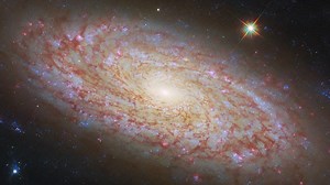 48K views · 2.2K reactions | Close-up Views of Spiral Galaxy NGC 2090...