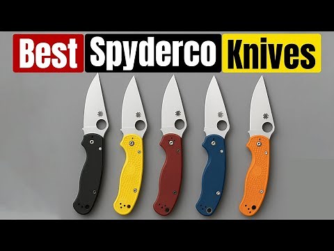 Best Spyderco Knives 2025