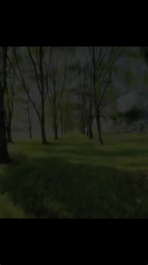 ʟᴀᴍᴜ...!!🥺♥ (@user562684890)’s videos with original sound - ʟᴀᴍᴜ...!!🥺♥