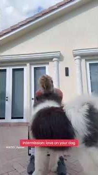 Basic workout for vertical jump