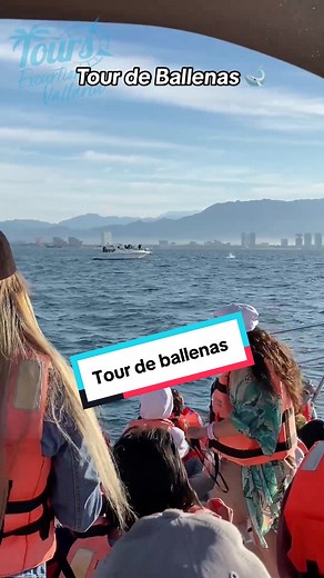 Tour de Ballenas en Puerto Vallarta: Viaje emocionante para avistamiento de ballenas