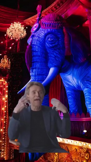Cheers to the elephant in the room 🥂 #willemdafoe #poorthings #moulinrougebroadway #moulinrougemusical #elephant #satine #Meme #MemeCut