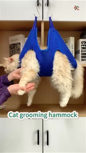 Dog & Cat Trimming Hammock Nail Clippers & File Combo Pack 🐶🐱 👉 ফেসবুক অ্যাড ক্যাম্পেইন কপি (৫টি আকর্ষণীয় পয়েন্ট): 1️⃣ ঘরেই সহজ গ্রুমিং সলিউশন ভেট বা পার্লারে না গিয়ে এখন বাসাতেই নিরাপদে পোষা প্রাণীর নখ কাটুন ও গ্রুমিং করুন। 2️⃣ সেফ ও কমফোর্টেবল হ্যামক ডিজাইন Trimming Hammock পোষা প্রাণীকে হালকা ঝুলন্ত অবস্থায় ধরে রাখে, ফলে নড়াচড়া কম হয় ও সহজে কাজ করা যায়। 3️⃣ ক্লিপার কাটার ফাইল কম্বো এক প্যাকেই পাচ্ছেন নখ কাটার, শেপ ঠিক করার ফাইল—ফুল গ্রুমিং সেট। 4️⃣ স্ট্রেস কম, নিরাপদ গ্রুমিং 🛡️ সঠিকভাবে ন