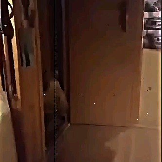 #bestfriends | Night 3