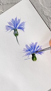 Painting cornflowers with a needle point brush 💜#watercolorflowers #Watercolorflorals #watercolorpainting | blue.lisart.art