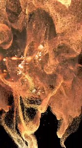 🪩🪩FIRST TRACK: SUPERNATURE PRE-ORDER LAUNCH TOMORROW AT 6 PM 🪩🪩 | CERRONE