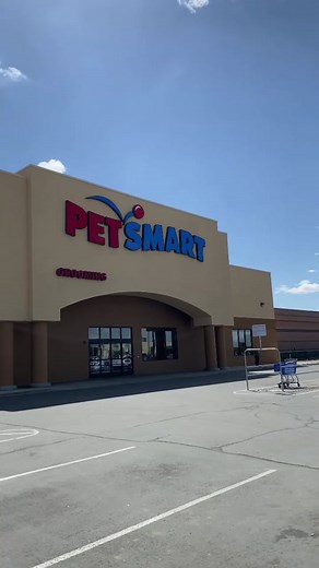 Best and Worst Pet Products at Petsmart: What You Need to Know