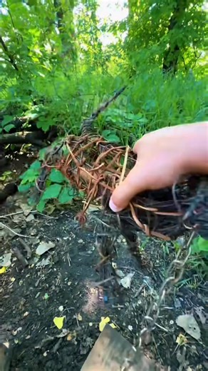 32K views · 171 reactions | This Geocache Was Straight Out of a Sci-Fi Movie  #Laser #portal | Stay Hullsome | Facebook