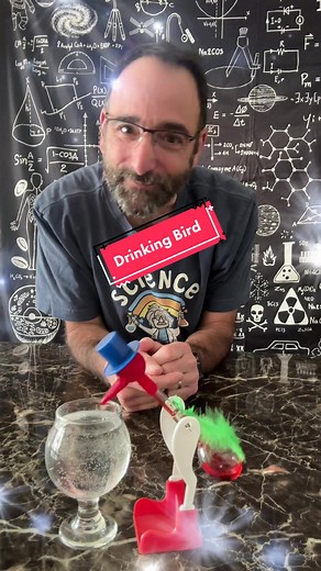 How Does the Drinking Bird Work? | Perpetual Motion Explained
