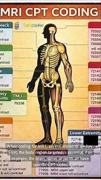 Understanding MRI Procedures for Accurate CPT Codi