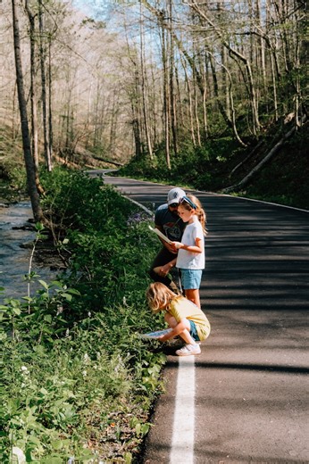 How many native Tennessee wildflowers can you find this spring and summer? 🌸 Native wildflowers are huge benefactors to the environment. Years of supportive practices, such as habitat restoration and invasive species control, have really boosted the diversity of wildflowers in our Tennessee State Parks—there are many kinds to be found all across the state! Download the spring wildflower bingo card at tnstateparks.info/SpringBingo, and plan a trip to one of our parks to begin your own hunt! #TNS