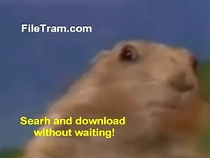 Filetram - Download files without waiting (badger part)
