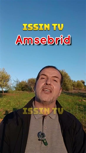 Amsebrid