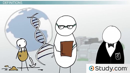 Life-Span Perspective | Multidirectional Development & Examples